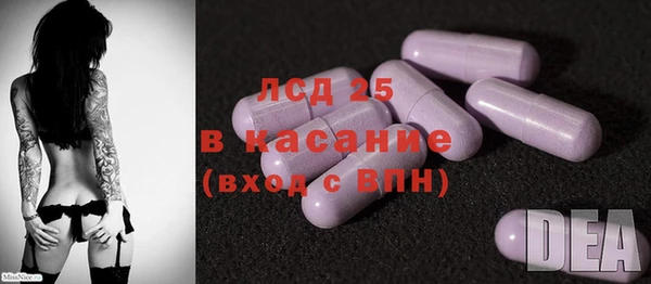прущие грибы Арсеньев