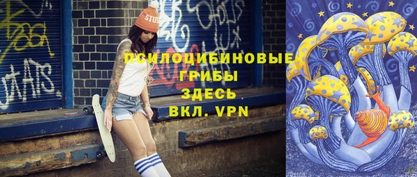 молекула духа Алзамай