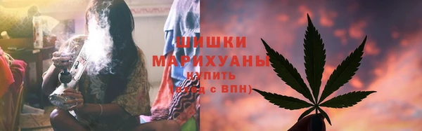 прущие грибы Арсеньев