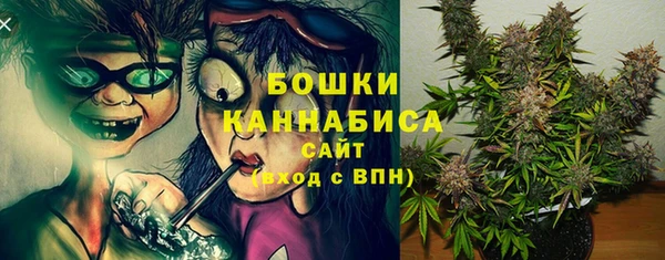 СК Аркадак