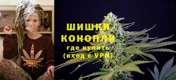 СК Аркадак