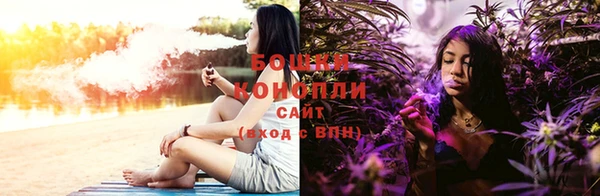 прущие грибы Арсеньев
