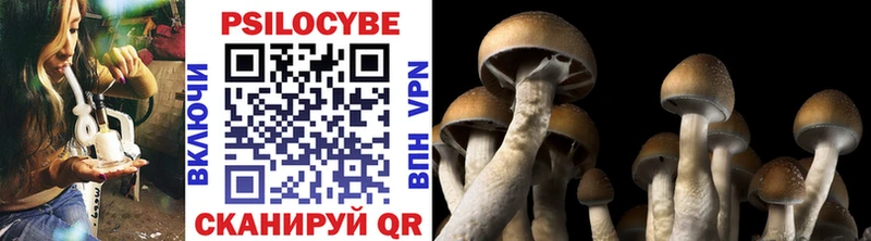 Галлюциногенные грибы Psilocybe  Купить закладки  Бугуруслан 